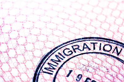 Immigration Systems